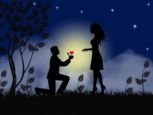 oui non amour